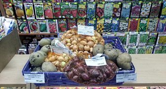 Семена овощей и цветов на выставке Сибирская дача