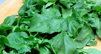Листья шпината содержат большое количество кислоты, и противопоказаны при желудочных заболеваниях