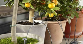 Микрокапельный полив GARDENA