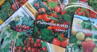 Подходящие для балкона сорта томатов