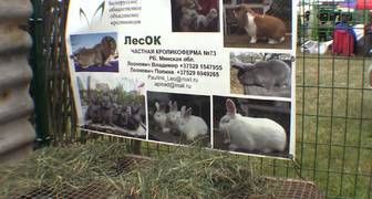Стенд участников из Белоруссии на Всероссийской выставке мелкого животноводства  