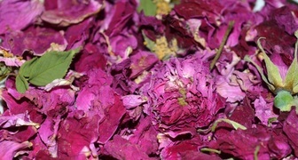 Сушеные цветы шиповника издавна использовали для омоложения кожи