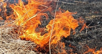 Сжигание прошлогодней травы в День Семаргла