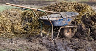 В день Тихона начинали удобрять поля навозом