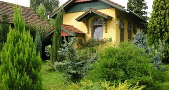 Вечнозеленые кустарники для сада, фото
