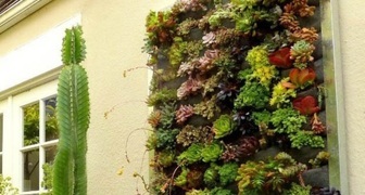 Вертикальный сад - идеальная зеленая картина для украшения дома