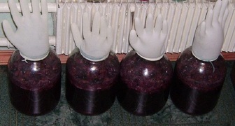 Вино из малинового варенья под перчаткой в процессе брожения