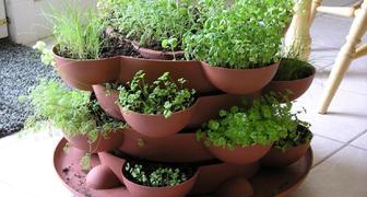 Выращивание зелени в многоэтажных горшках позволит рационально использовать место