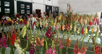 Выставка Flower Expo Poland в Варшаве 