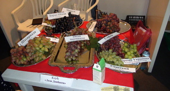 Выставка FoodWeek 2015 - урожай 2015