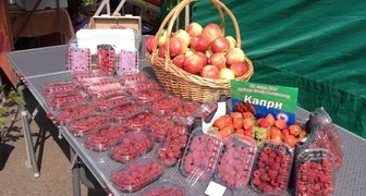 Выставка FoodWeek и AgriTek - плоды садоводства