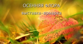 Выставка Осенняя флора 2015 в Санкт-Петербурге