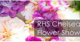 Выставка RHS Chelsea Flower Show в Лондоне