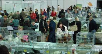 Выставка-ярмарка  Породное птицеводство и мелкое животноводство