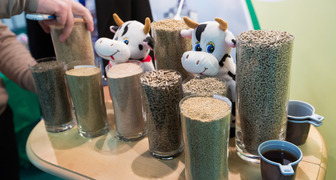 Выставка Зерно-Комбикорма-Ветеринария: корма для мелкого и крупного рогатого скота 