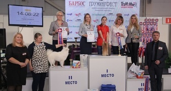 Выставка Зоомир - победители собачьего конкурса красоты