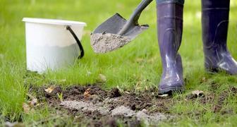 Как вывести с огорода слизней - раскислением почвы
