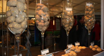 Выставка новейших сортов картофеля на WORLD POTATO CONGRESS
