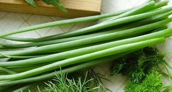 Зеленый лук: польза и вред для здоровья