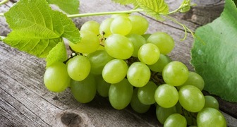 Зеленый виноград и его полезные свойства