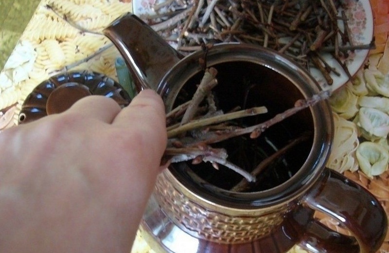 Готовим вкусный и полезный чай из веточек садовых деревьев