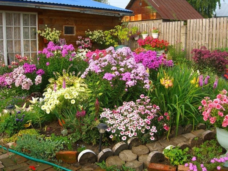 Цветы в саду позволяют создать невероятно красивые композиции