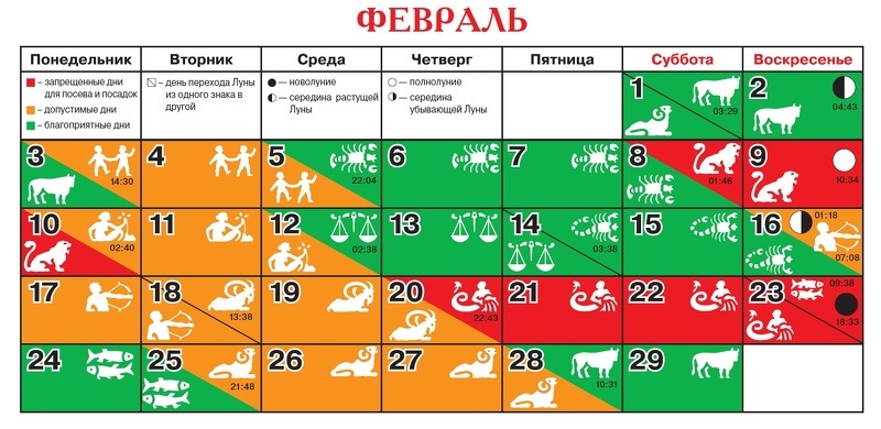 Благоприятные дни на февраль: посевной календарь в таблице