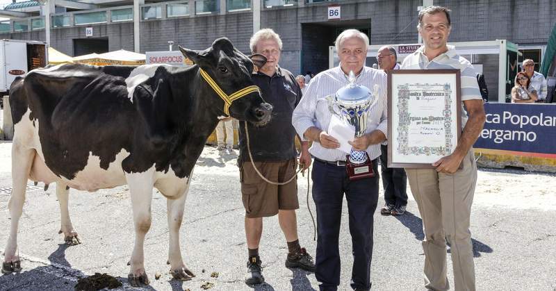 Награждение победителей выставки крупного рогатого скота