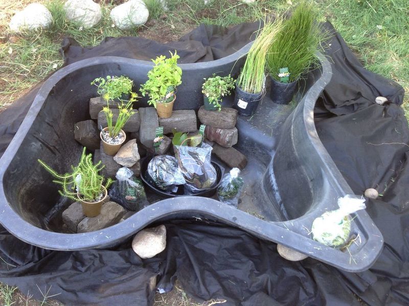 Готовая форма для пруда в саду