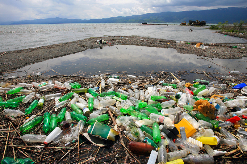 Решение проблемы загрязнения океанов - одна из целей организации Greenpeace