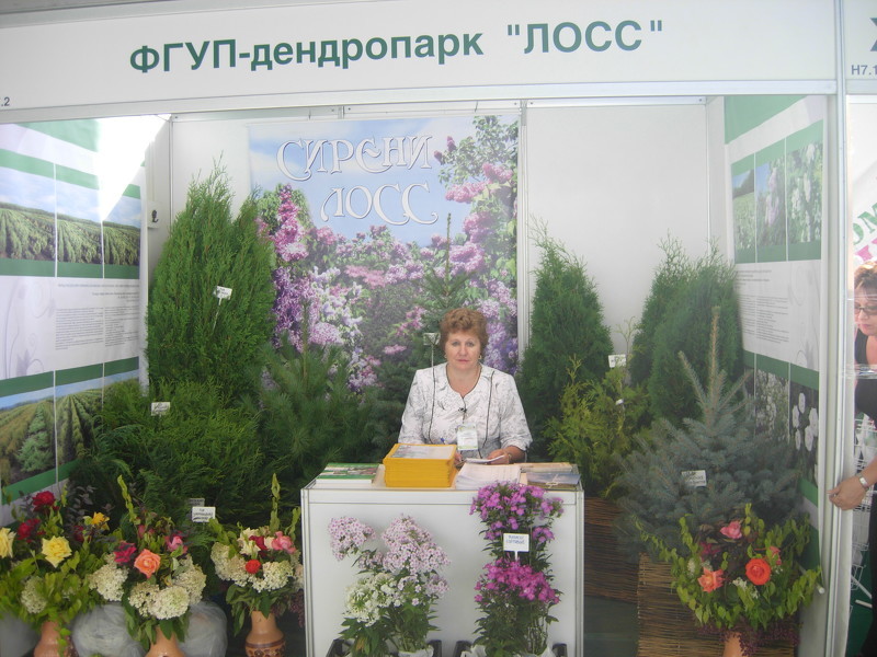 Хвойные и декоративные культуры от специализированного питомника на выставке