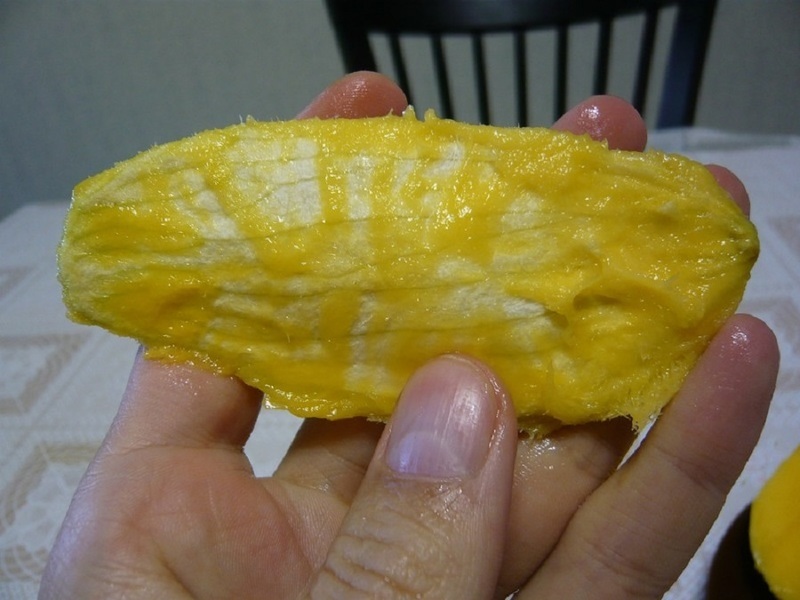 Как вырастить манго в домашних условиях: достаем косточку