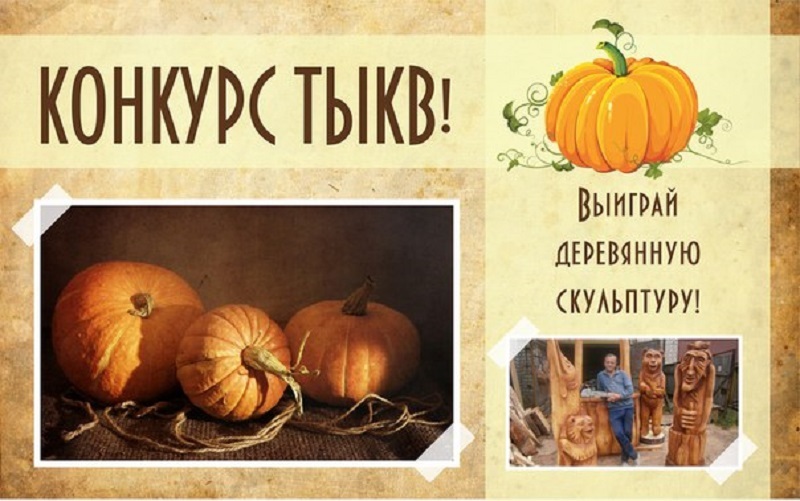 Конкурс на самую крупную тыкву в рамках выставки Зеленое хозяйство