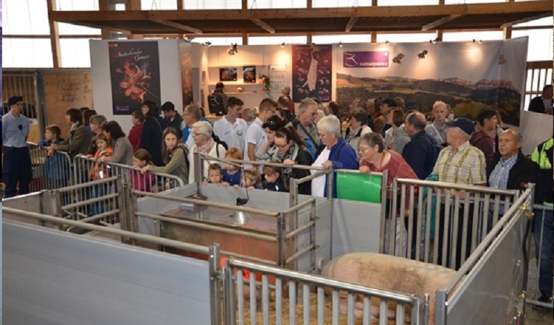 Спецкорма и средства для ухода за животными на выставке Agriculture - Stock Breeding