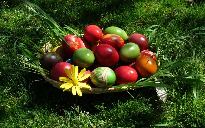Красим яйца используя природные красители