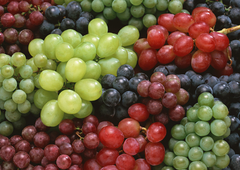 Виноград сорта для средней полосы России: особенности выращивания