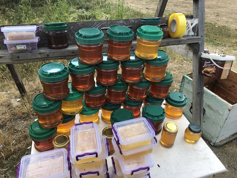 Мед разных сортов на выставке Осенний сад и огород. Продукты пчеловодства