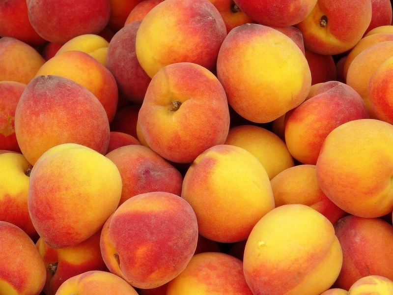 При проблемах с желудком следует съедать не более одного персика в день