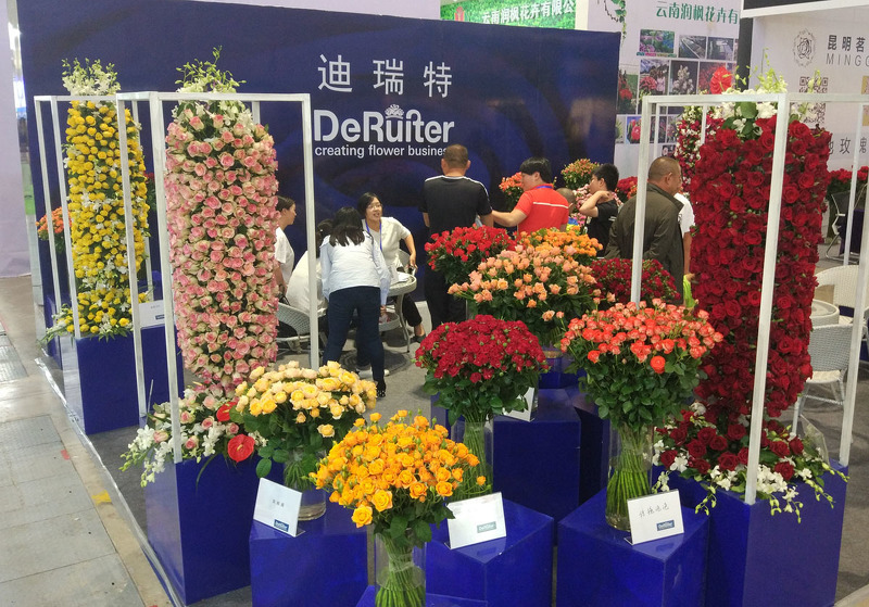 Новинки селекции на Kunming International Flower Expo