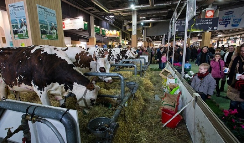 Оборудование для разведения скота на выставке Agriculture - Stock Breeding