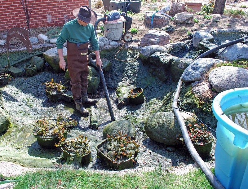 Очищаем водоем от растительных остатков в октябре
