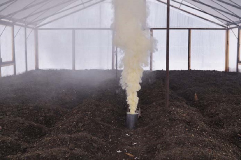 Окуривание теплицы табачной пылью перед началом посева