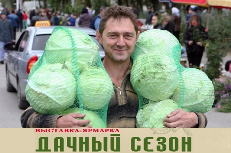 Осенняя выставка Дачный сезон в Ростове-на-Дону 2015