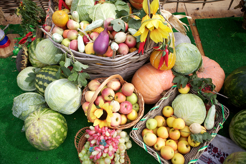 Овощи и фрукты нового урожая на выставке в Челябинске