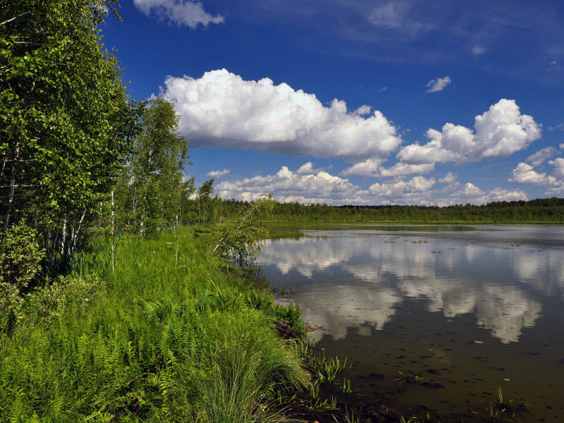 Озеро Шайтан в Кировской области сильно заросло и обмельчало