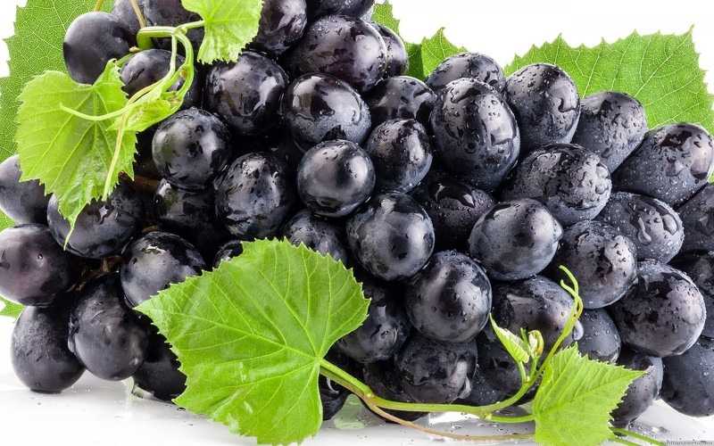 Польза и вред винограда при заболеваниях и диетах