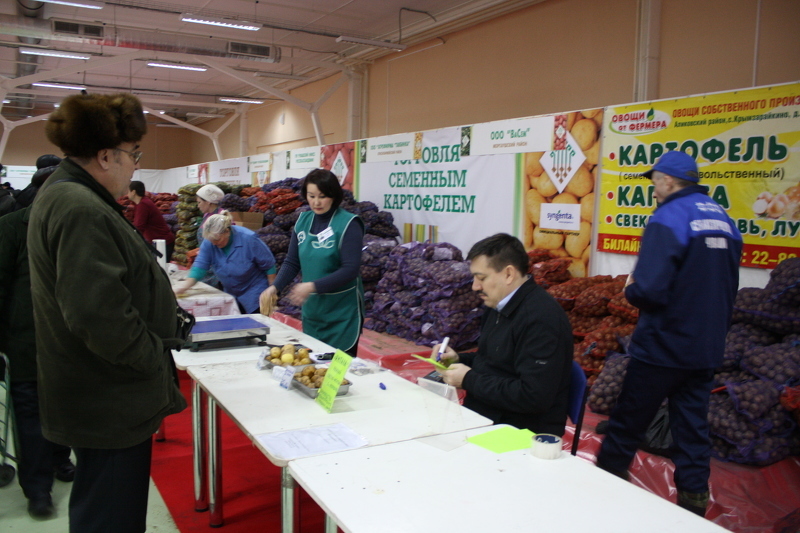 Продажа семенного картофеля на ярмарке в Чебоксарах 