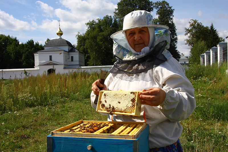 Спас назвали Медовым за традицию собирать мед в начале августа