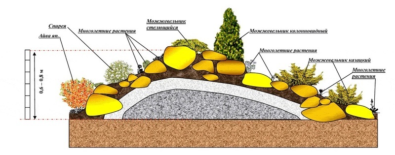 Схема посадки растений на альпийской горке
