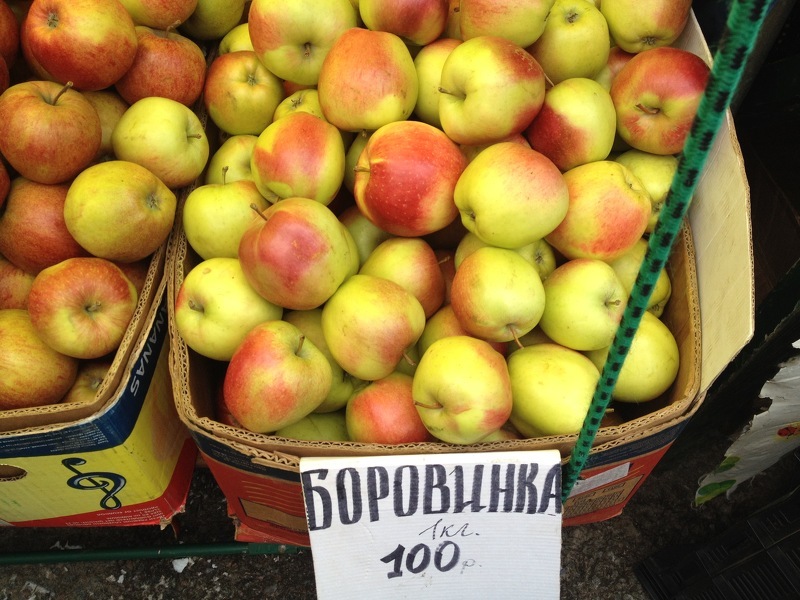 Яблоню Боровинка выращивают во всех регионах России для приготовления сушки